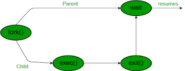 Wait System Call In C Geeksforgeeks