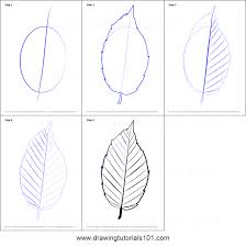 Autumn is a great time of the year. How To Draw A Leaf Printable Step By Step Drawing Sheet Drawingtutorials101 Com