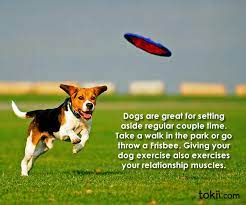 List 32 wise famous quotes about frisbee: Frisbee Quotes Quotesgram