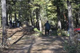 Some of the best spots include lewis creek, bubbs creek, cedar grove and hume lake, although many require a little bit of a walk. Sheep Creek Campground Kings Canyon Ca 4 Hipcamper Reviews And 3 Photos