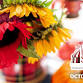 Fall Lane County Home Improvement Show