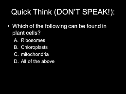 Plant cells contain chloroplasts and mitochondria. Plant Cells Do Now First Take Out Homework Then 1 Chloroplasts Contain An Enzyme Called Atp Synthase What Are The Enzymes Made Of 2 The Cell Walls Ppt Download