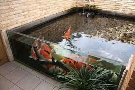Koi Teich Goldfischteich Fischteich Wasser Im Garten