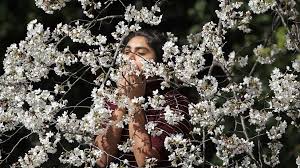 A thousand layers of flowers create a new floral accord with multiple gourmand facets. New Light Shed On Charles Darwin S Abominable Mystery Bbc News