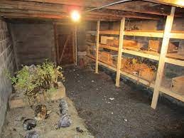 Traditionally, this cold room was an underground space built under or near the home, insulated by when it comes to any basement root cellar, the exterior walls create ideal interior temperatures. The 8 Fundamentals To Digging A Root Cellar Off The Grid News
