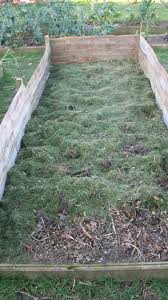 We did not find results for: My Asparagus Bed I Have Made A Surround Around It So That Hopefully The Asparagus Will Come Up Earlier It Has Made The B Outdoor Decor Outdoor Asparagus Bed