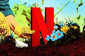 The Unexpected Pleasures Of Netflix S Gardening Shows The Ringer Netflix Unexpected Slow Tv