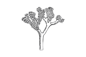 Check out our list of free svg & png downloads! Joshua Tree Svg Cut File By Creative Fabrica Crafts Creative Fabrica