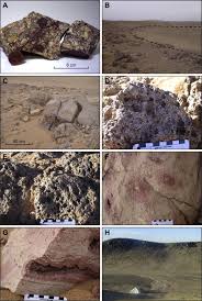 Résultat de recherche d'images pour "semsiyat dome"