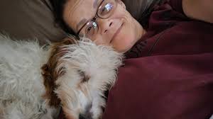 Hi are golden doodles hard to toilet train?