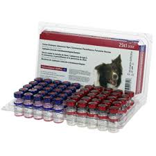 All of those brands are the same. Nobivac Canine 1 Dappvl2 Cv 5 Way Lepto Corona 25 Ds Tray Vetdepot Com