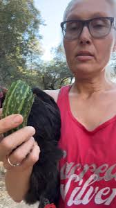 These two cuties off to their new home!!