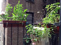 Pin By Yogayael On Design Urban Garden Design Apartment Plants Urban Garden