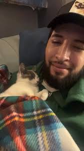 Free cat litter and food near UIC campus