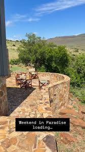 Image result for Xerophyta zimbabwensis