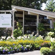382 greenwich ave, greenwich (ct), 06830, united states. About Us Mcardle S Floral Garden Design
