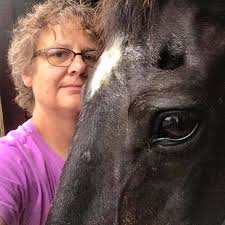 What animal made these tracks in Winnebago County Illinois?