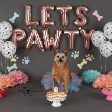 We did not find results for: Easy Dog Birthday Decorations That Show Love Partyeight