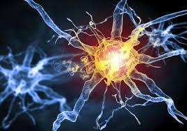 The fda has approved biogen's controversial alzheimer's drug aducanumab.nicolaus a biogen researcher works on the development of the medication aducanumab in cambridge, massachusetts. Biogen Shares Soar As Fda Delays Decision On Aducanumab