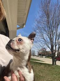 They've found the wandering one she's now bk home safe