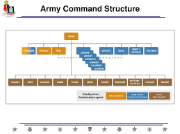 Coordinate Social Events Ppt Download