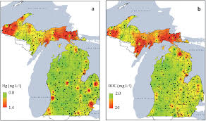 Mining Legacy Across A Wetland Landscape High Mercury In