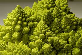 Broccoli can handle a slight frost once it's hardened. Hd Wallpaper Close Up Photography Of Romanian Broccoli Romanesco Broccoli Wallpaper Flare