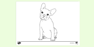 Check spelling or type a new query. Free French Bulldog Colouring Page Colouring Sheet