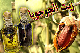زيت الجوجوبا للشعر المصبوغ حماية للشعر المهلك والتالف وذو فوائد متعدده موثوق