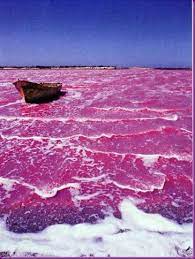 pink lake retba senegal lake retba beautiful places natural wonders