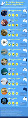 Reddit The Front Page Of The Internet Dangerous Animals In Australia Australia Animals Visit Australia