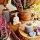 The Ecopsia Reset Retreat event in Bridgnorth
