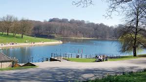 Image result for roundhay