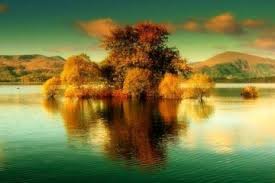 Kumpulan artikel berkategori rumahku surgaku memuat artikel yang berkaitan dengan tema rumah dengan sudut pandang pendekatan syariahdan keilmuan agama islam. Rumahku Adalah Surgaku