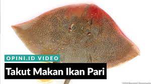 instagram lokasinya sekitar 3,3 meter di bawah laut dan dalam 5 tahun terakhir sukar dijumpai. Oh Gitu Takut Makan Ikan Pari Youtube