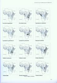 Image result for Cyanastrum johnstonii