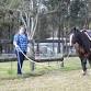 Cooperation and Confidence Clinic February 28 event image