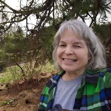 Deborah Willard Design (@deborahwillarddesign) • Facebook