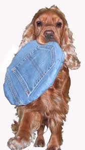 Jeans Frisbee Hundespielzeug Hunde Spielzeug Hund
