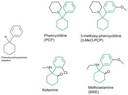 Image result for Phencyclidine