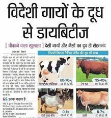 A2 Gir Cow Milk Recommended For The Diabetics Those With Life Style Diseases Call Us For Authentic Desi Gir Cow Milk On 751744 Milk Cow Organic Milk Cow