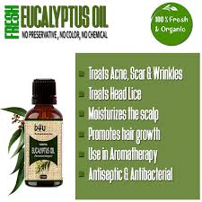 Also, pure eucalyptus oil is also used frequently against head lice. Nilgiri Oil Uses All Products Are Discounted Cheaper Than Retail Price Free Delivery Returns Off 67