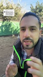 Que Le Dijo El Gallo A La Gallina