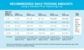 Puppy Feeding Guidelines Puppy Feeding Guide Puppy