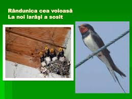 România nu e străină de iernile foarte geroase. Ppt Prim Ävara De Vasile Alecsandri Powerpoint Presentation Free Download Id 2964102