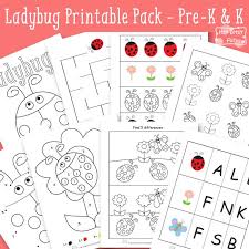Ladybug Printable Preschool And Kindergarten Pack Itsybitsyfun Com Ladybugs Preschool Kindergarten Worksheets Printable Kindergarten Worksheets