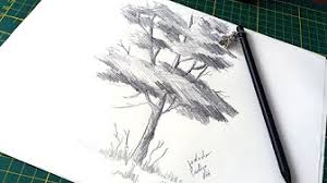 Desene de primavara in creion usoare losos. Easy Pencil Drawings Desene In Creion Usoare Youtube