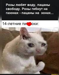 pin on moi sohranennye materialy