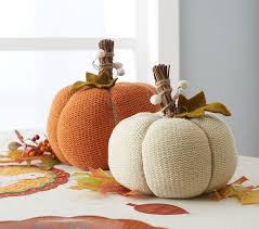 Enjoy free returns and cash on delivery! Thanksgiving Table Decorations For The Kids Pottery Barn