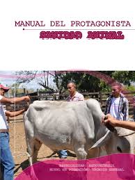 La organización mundial de sanidad animal (oie) es una organización intergubernamental creada por un convenio internacional el 25 de enero de 1924, firmado por 28 países. Sanidad Animal Pdf Microorganismo Sistema Inmune
